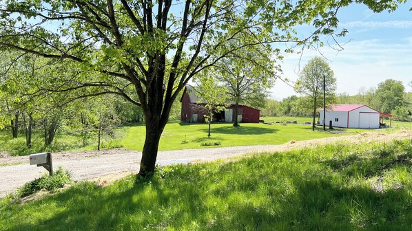 View of a barn and the woodmill.