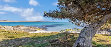 Villa Vespucci, ClickSardegna, sulla spiaggia della Pelosa, Stintino,  sul mare 