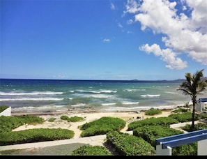 Vue sur la plage ou l’océan