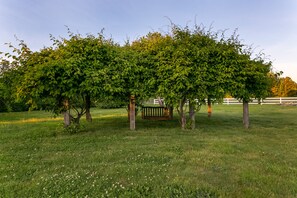 Overnattingsstedets uteområder