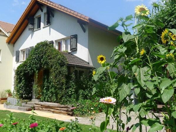 Blume, Pflanze, Eigentum, Fenster, Himmel, Gebäude, Botanik, Haus, Grundstueck, Gelb