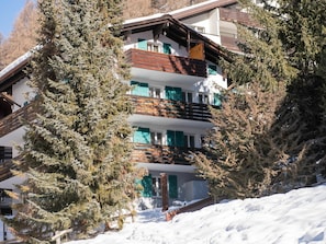 Building, Window, Plant, Snow, Sky, Branch, Slope, Larch, House, Tree