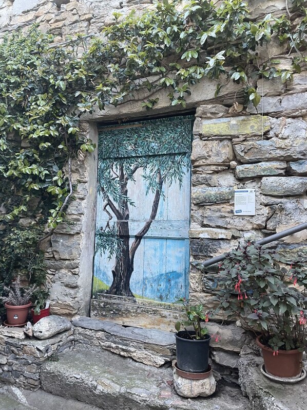 Plant, Window, Branch, Wood, Twig, Wall, Woody Plant, Building, Trunk, Tints And Shades