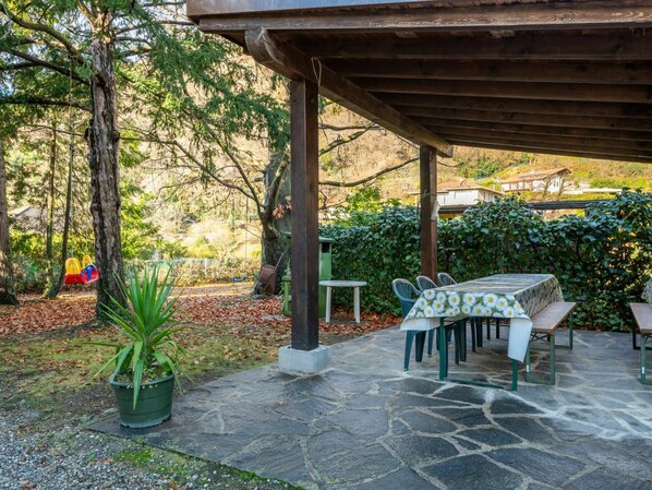 Plante, Propriété, Meubles, Pot De Fleur, Table, Ombre, Botanique, Tableau De Plein Air, Mobilier De Jardin, Fleur