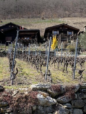 Détails du hameau