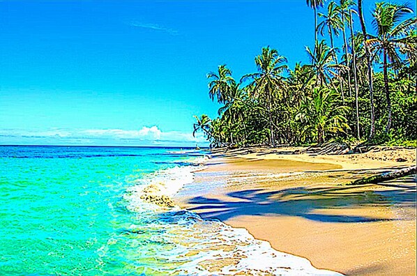 The Coco beach.