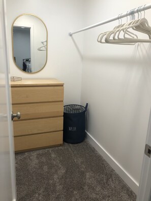 Master bedroom walk-in closet