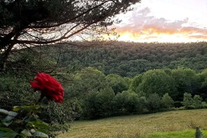 Back yard. 6 acres and infinite view. 