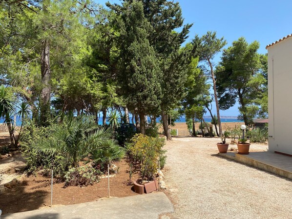the sea from home garden