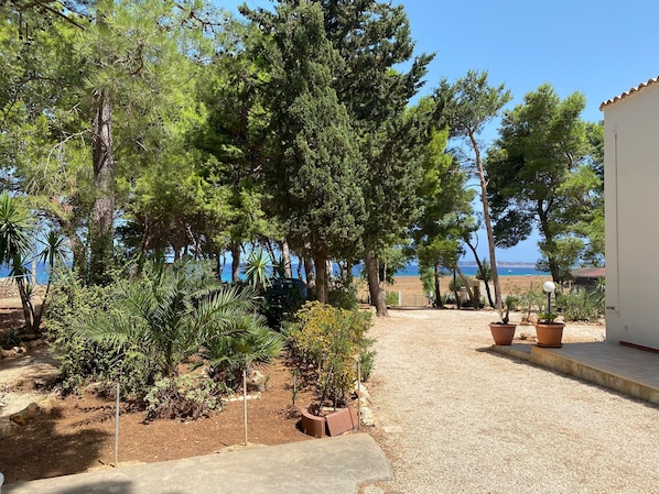 the sea from home garden