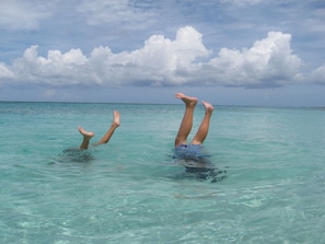 Clear turquoise water right out your back door at Sea Biscuit.  Kid approved!