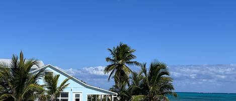 Sea Biscuit is located on a pristine white sand beach with coral reefs offshore.