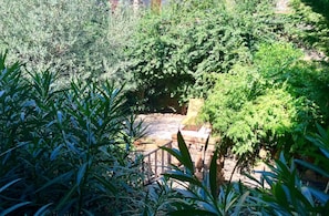 Blick in den Patio-Garten