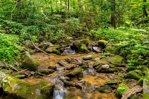 A serene creeks goes through our property. 