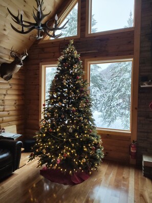 Christmas time at the cabin.