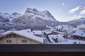 Eiger Views