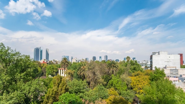 View onto Parque Mexico from main room