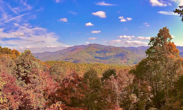 Our view! The beginning of leaf season at Native Winds