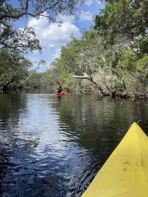 kayaking up the creek