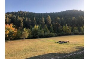 Miscellaneous