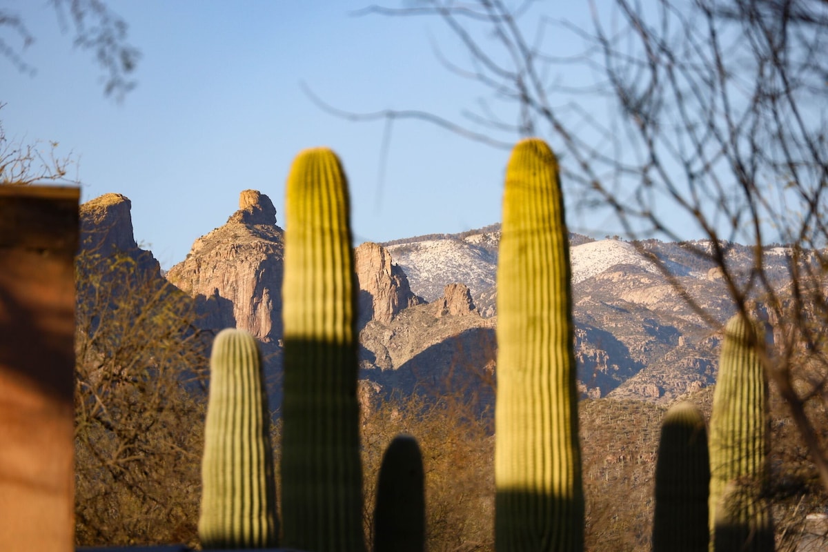 Guesthouse surrounded by Mesquites and Saguaros