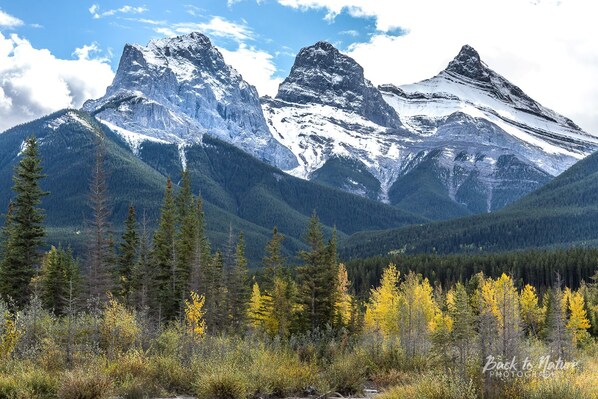 The Famous Three Sisters.