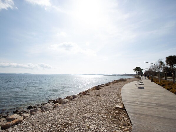 Cloud, Water, Sky, Water Resources, Tree, Plant, Wood, Coastal And Oceanic Landforms, Beach, Bank