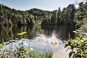 Lake