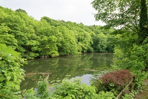 View from Holiday Home [summer]