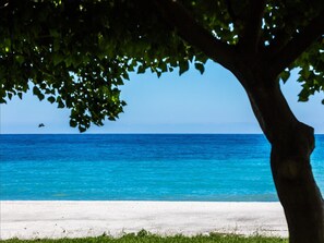 Vue de la maison de vacances [été]