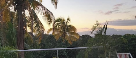Swimming pool view