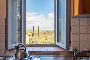 Casa Paciano, Olivo (5)