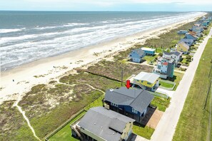 Beachfront pet friendly home in Sea Isle