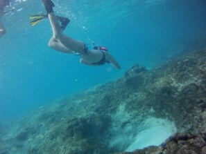 Snorkeling