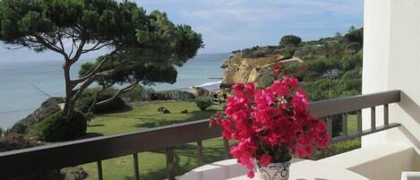 Terrasse / Balkon