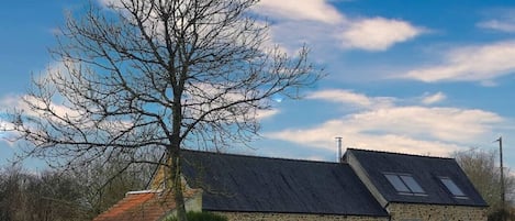 vue du fond du jardin