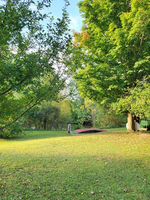 Serenic pond with canoe