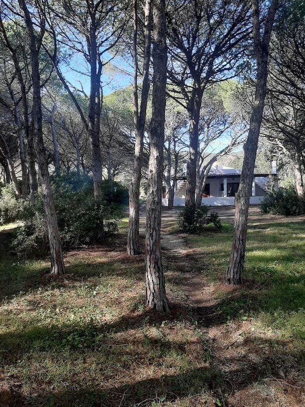 Property grounds