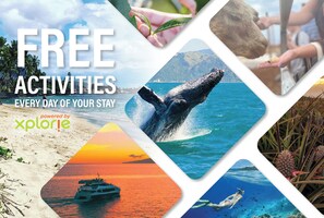 Menehune Shores 403 Free Activities S1