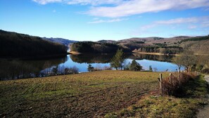 Lake view