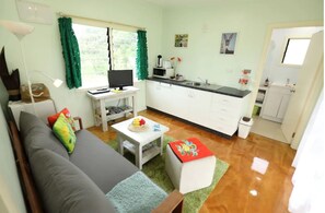 Combined living area/kitchenette