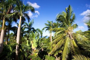 Terrain de l’hébergement 