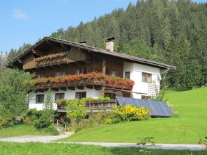 Pflanze, Blume, Gebäude, Himmel, Fenster, Baum, Haus, Steigung, Grundstueck, Natürliche Landschaft