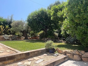 Shrub, Garden, Landscape, Rock, Plant Community, Groundcover, Woody Plant, Landscaping, Backyard