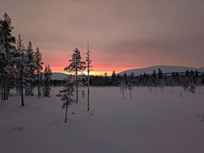 Skidåkning och snöaktiviteter