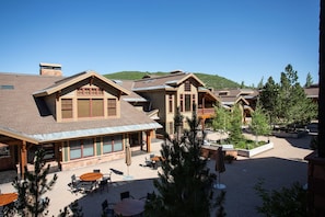 Roof, Tree, Fir