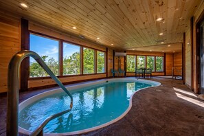 Indoor Saltwater Pool View 1