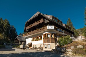 Berghotel und Restaurant Kräuter Chalet, (Furtwangen), LHS 11660