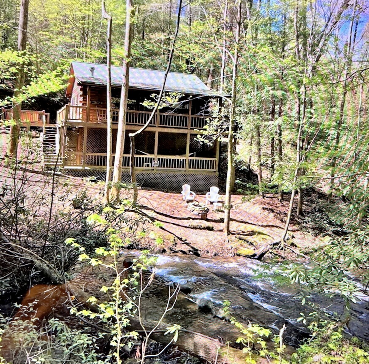 Main Image