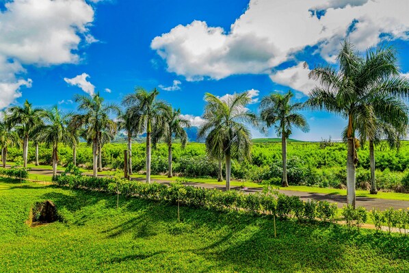 Jardines del alojamiento